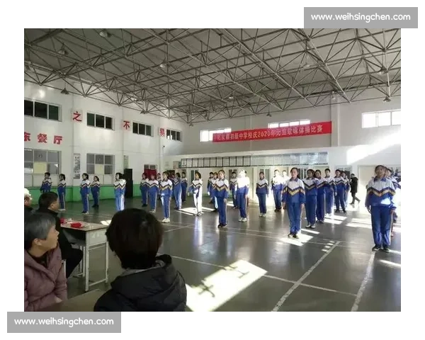 体操比赛评分标准解析及其影响因素分析