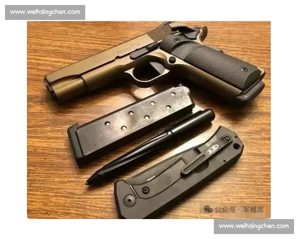 射击比赛专用枪械全解析：从精度到性能的全面考察